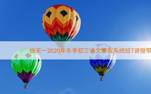 徐天一2020年冬季初三语文寒假系统班7讲授带讲义